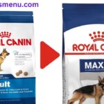 royal canin dog food