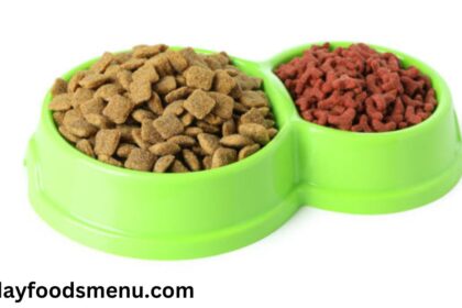 dog food container