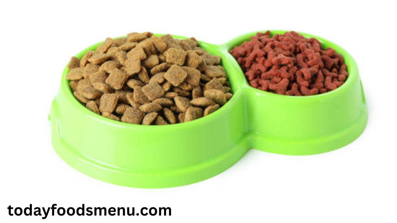 dog food container